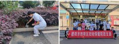 专项治理行动主要是整治清理医院周边及院内环境卫生